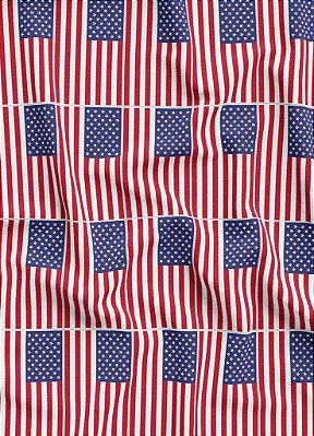 Tecido Veludo Suede Estampa Digital Bandeirinhas dos Estados Unidos 1,40m de Largura