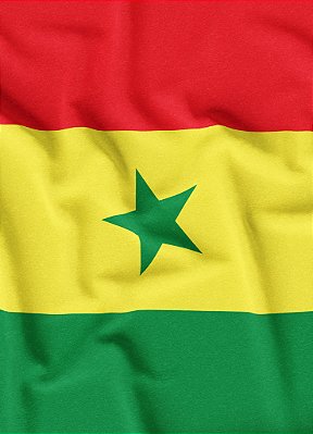 Tecido Veludo Suede Estampa Digital Bandeira de Senegal 1,40m de Largura
