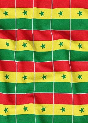 Tecido Micropercal Estampa Digital Bandeirinhas de Senegal 1,55m de Largura