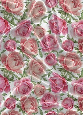 Tecido Cetim Estampa Digital Rosas Rosa e Rose Fundo Branco 1,40m de Largura