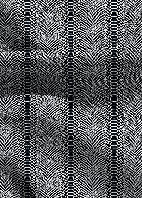 Tecido Blackout Estampa Digital Cobra branco fundo preto 1,35m de Largura