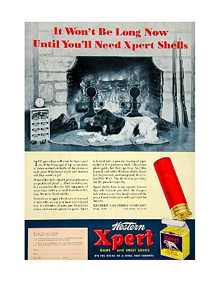 Placa Decorativa 31 Western Xpert