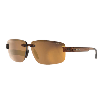 Óculos Bex Sunglasses HARRIS Clear Brown / Brown / Gold