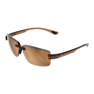 Óculos Bex Sunglasses HARRIS Clear Brown / Brown / Gold