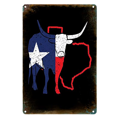 Placa Decorativa Longhorn Texas