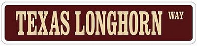 Placa Decorativa Texas Longhorn Way