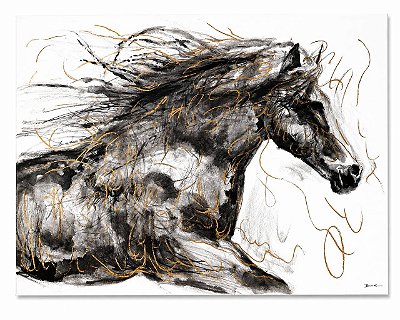 Quadro Importado Horse Color RA0057