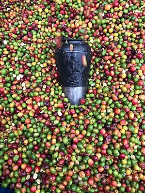 CAFETEIRA PRESSCA - PRETO EBANO