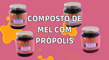 MEL COM PRÓPOLIS SABORES