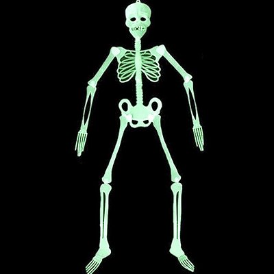 Esqueleto Fluorescente Articulado Halloween 90cm - 1 Unidade