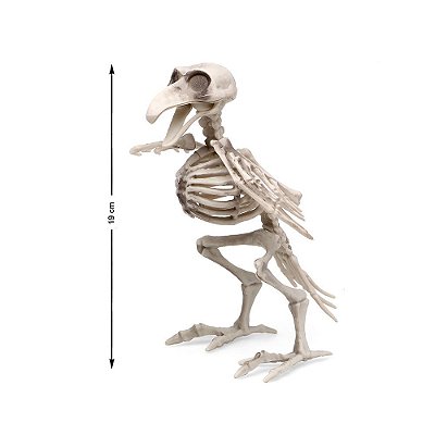 Esqueleto Plástico Pássaro Corvo Halloween - Bico Articulado - 19cm x 11cm