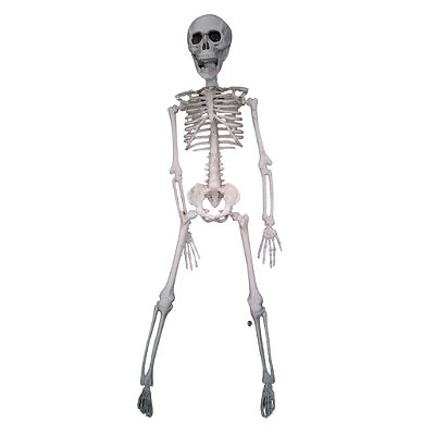 Esqueleto Halloween Articulado 40 cm – 1 Unidade