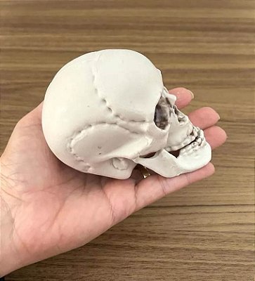Enfeite Saco de Caveiras - Com Maxilar Articulado 9 cm - 6 Unidades
