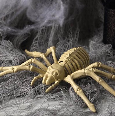 Enfeite Esqueleto Plástico de Aranha Importado Halloween - 23x11cm