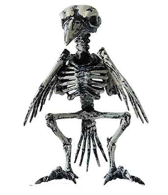 Esqueleto de Corvo Halloween
