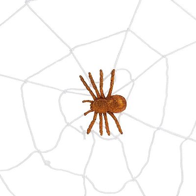 Teia com Aranha Halloween – Toque Assustador em Sua Decoração!