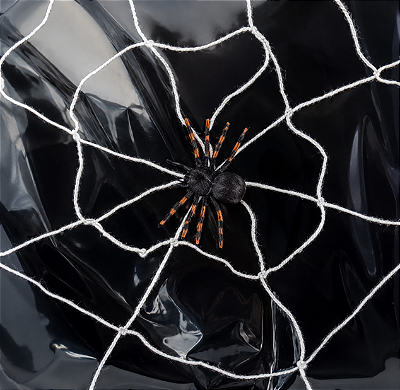 Teia com Aranha Halloween – Toque Assustador em Sua Decoração!