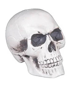 Crânio de Plástico Branco Halloween - 15cm