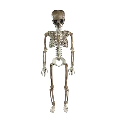 Esqueleto Dominic para Pendurar – 96cm