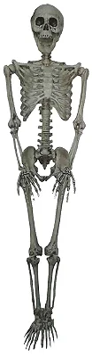 Esqueleto de Plástico Articulado Decorativo 90cm – Decoração de Halloween