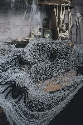 Cortina de Teia com Aranhas 300x75cm