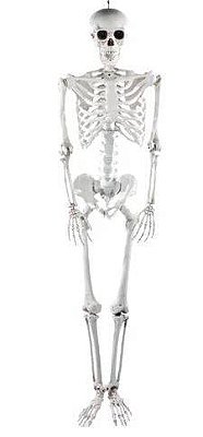 Jack Esqueleto Articulado 185 cm – Decoração Gigante para Halloween