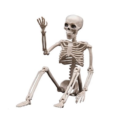 Esqueleto Articulado Halloween – 53cm