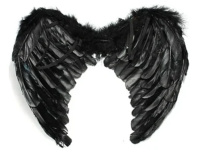 Asa de Anjo Penas Preta 45cm
