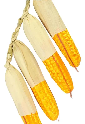 Enfeite Corda com Espigas de Milho para Festa Junina 47cm – Decoração Rústica