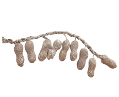 Cordão Decorativo de Amendoim para Festa Junina – 20 Amendoins 4,5cm