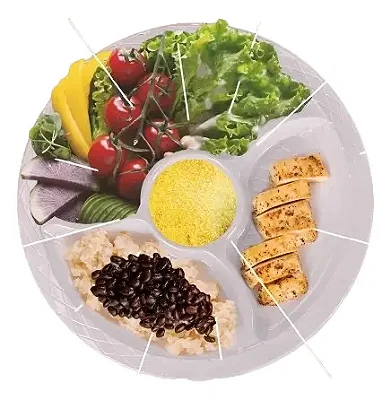 Kit 10 Pratos com 3 Divisórias 26cm Grande Premium Aperitivo