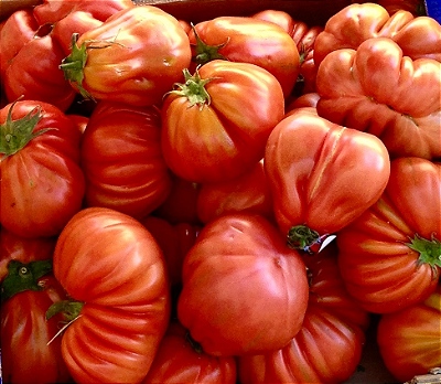 tomates lido