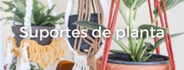 Suporte de planta