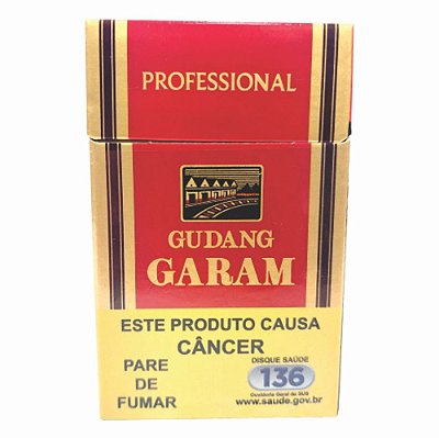 Cigarro Gudang Garam Professional Cravo - (Nacional)