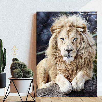Quadro Decorativo Canvas Animal Selvagem Leão Sentado Vertical