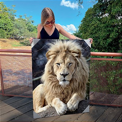 Quadro Decorativo Canvas Animal Selvagem Leão Sentado Vertical