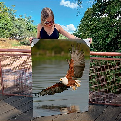 Quadro Decorativo Canvas Animal Silvestre Águia de Asas Abertas sobrevoando o Rio Vertical
