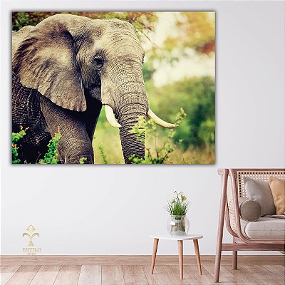 Quadro Decorativo Canvas Animais Elefante Na Floresta Horizontal