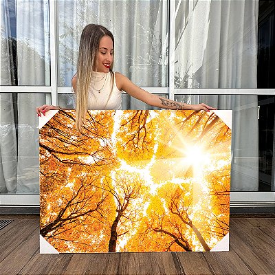 Quadro Decorativo Canvas Árvores Alaranjadas Galhos Secos Outono Horizontal