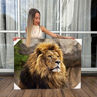 Quadro Decorativo Canvas Animal Selvagem Perfil Face Leão Rei da Floresta Horizontal