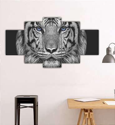 Quadros Decorativos  Tigre Branco Olhos Azuis 115x60cm