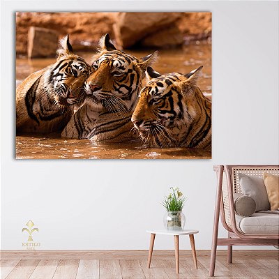 Quadro Decorativo Canvas Animais Selvagens Família De Tigre No Rio Nadando Horizontal