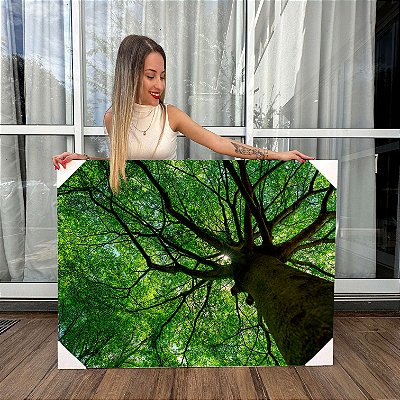 Quadro Decorativo Canvas Copa de Árvore Com Folhas Verdes Floresta Horizontal