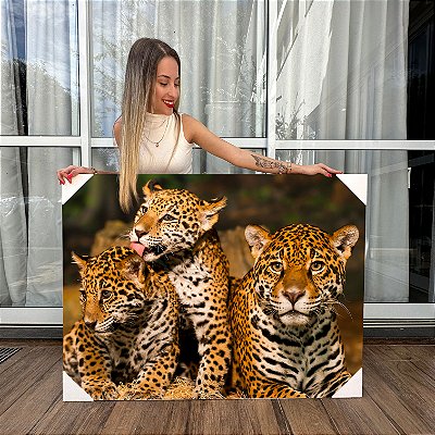 Quadro Decorativo Canvas Família De Onças Pintadas na Selva Horizontal