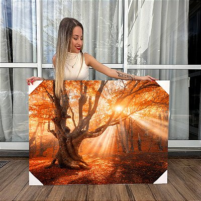 Quadro Decorativo Canvas Bosque De Outono Natureza Horizontal