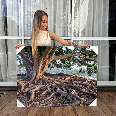 Quadro Decorativo Canvas Raízes das Árvores Natureza Horizontal