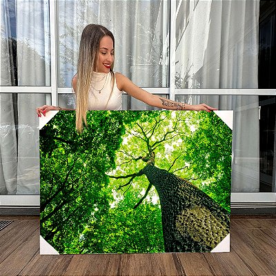 Quadro Decorativo Canvas Árvores em Floresta Natureza Horizontal