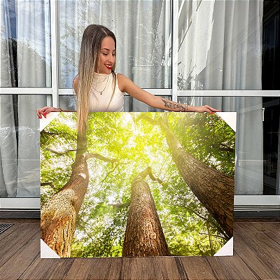 Quadros Decorativos Canvas Árvores na Floresta ao Amanhecer Horizontal