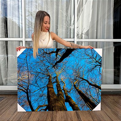 Quadro Decorativo Canvas  Árvores com Galhos Seco e Céu Azul Horizontal