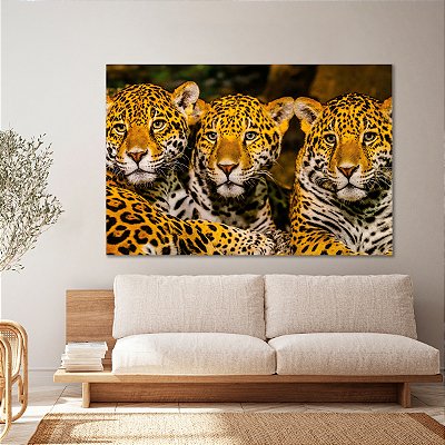 Quadro Decorativo Canvas Animais Selvagens Onças Pintadas Horizontal